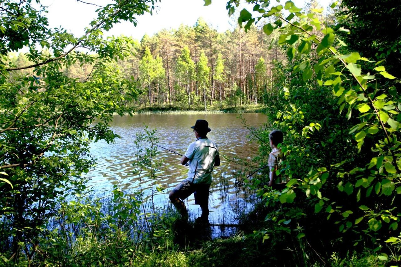 Отель Alutaguse Recreation and Sports Center Куремяэ-13